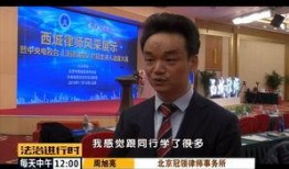 肓人大律师在线观看,肓人大律师在线观看之旅